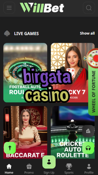 Birgata Casino - Premium Online Casino-birdycasino.ydblkf.net
