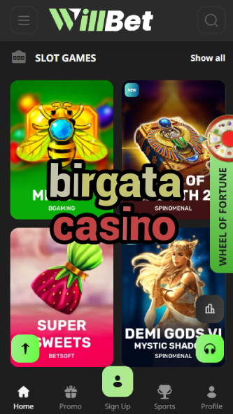 Birgata Casino - Premium Online Casino-birdycasino.ydblkf.net